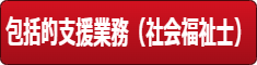 包括的支援業務(社会福祉士)